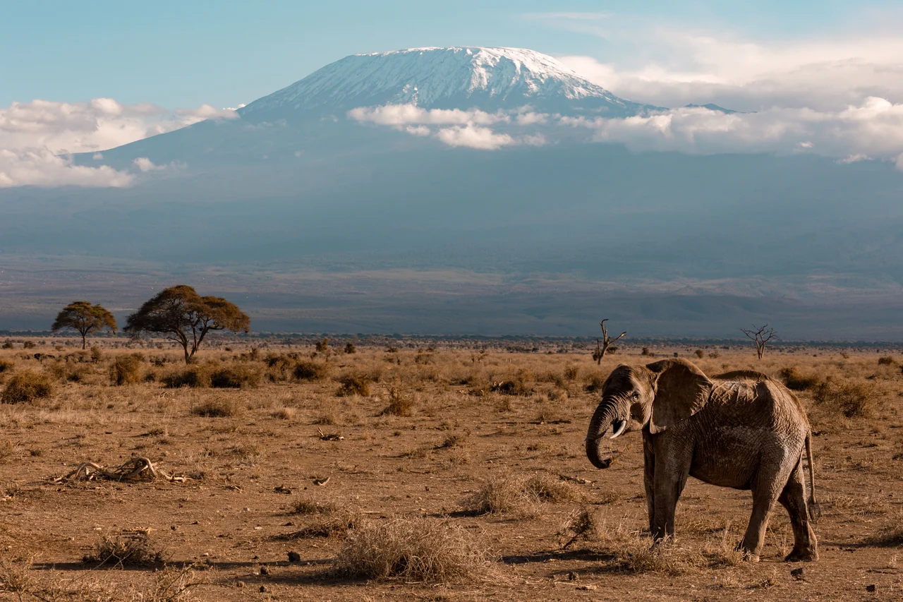 Afrique
