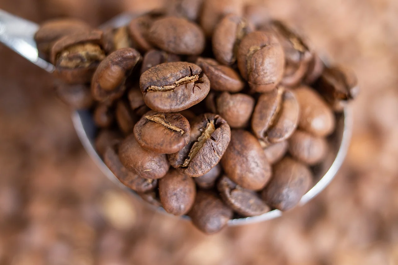 Quiz Le café