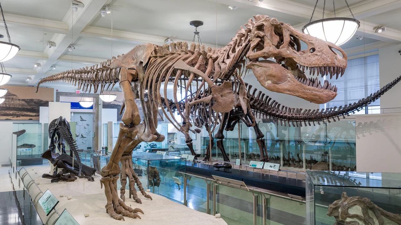 Quiz Dinosaures & préhistoire