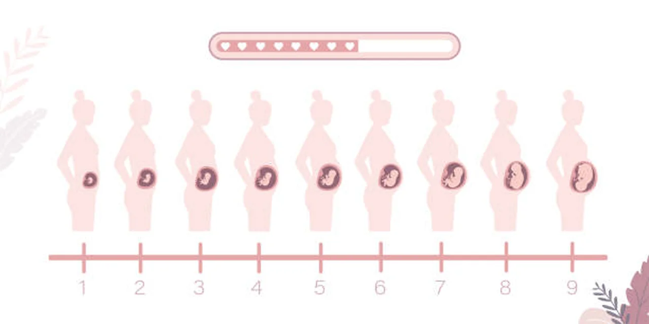 Quiz Grossesse