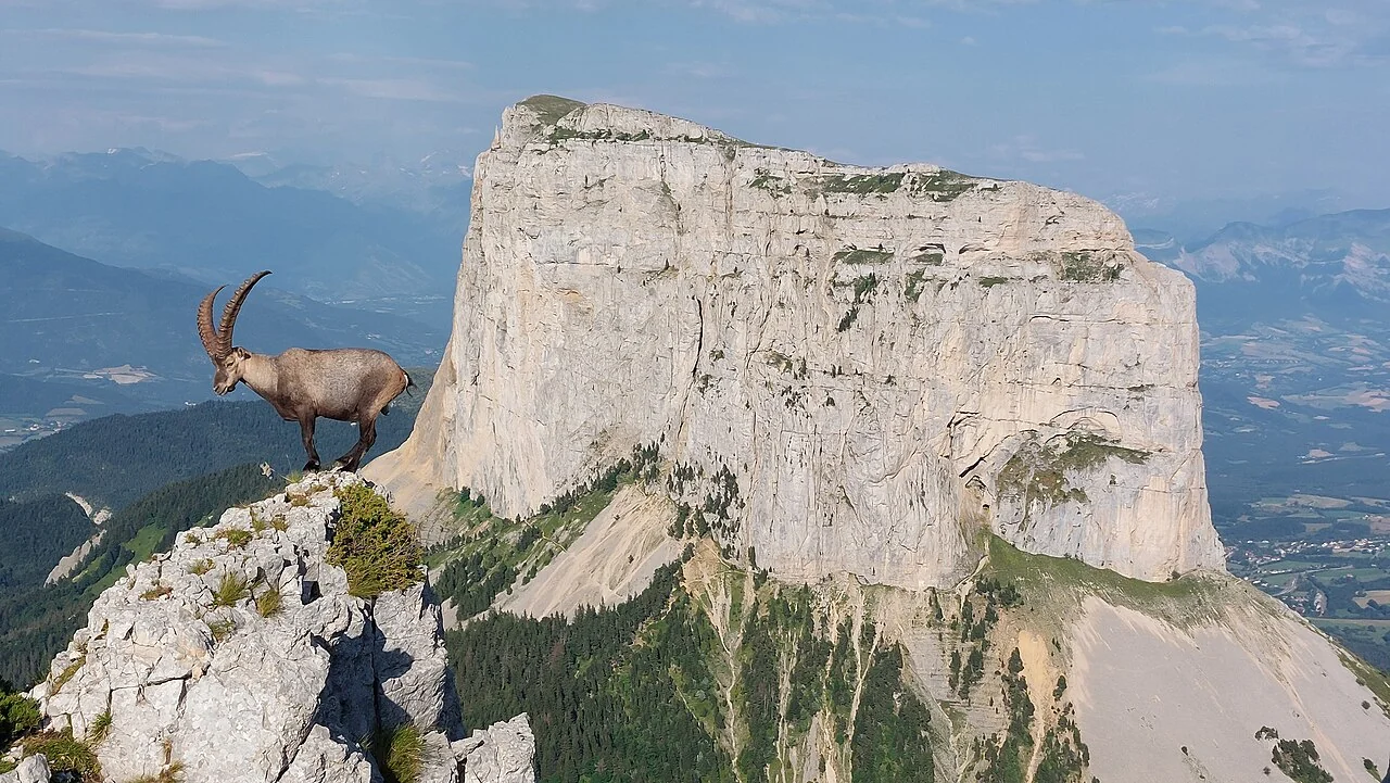 Quiz Vercors